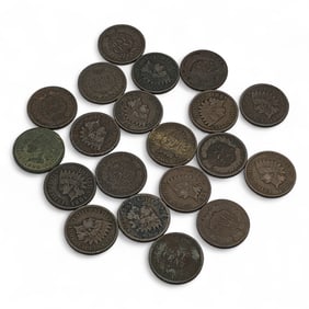 Group Of 20 Indian Head Pennies