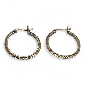 Sterling Silver Hoop Earrings