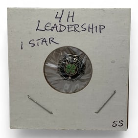 Sterling 4- H Leadership Pin