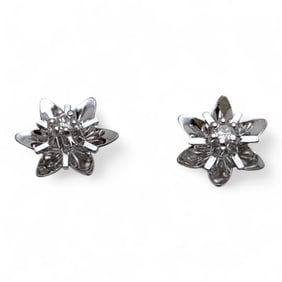 14k White Gold And Diamond Earrings