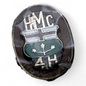 Sterling Silver 4- H County Honors Pin