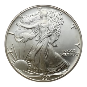 Ngc 1991 Silver Eagle Dollar