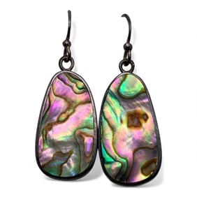 Pair Of Sterling Silver & Abalone Earrings