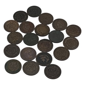 Group Of 20 Indian Head Pennies