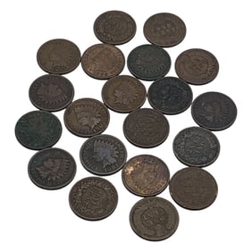 Group Of 20 Indian Head Pennies