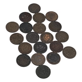 Group Of 20 Indian Head Pennies