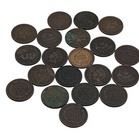 Group Of 20 Indian Head Pennies