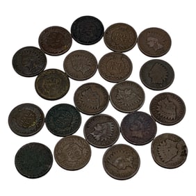 Group Of 20 Indian Head Pennies