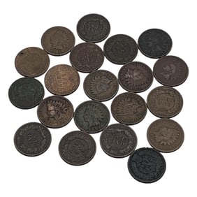 Group Of 20 Indian Head Pennies