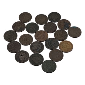 Group Of 20 Indian Head Pennies