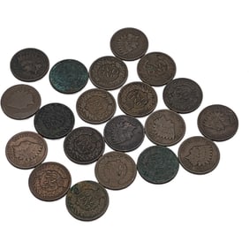 Group Of 20 Indian Head Pennies