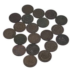 Group Of 20 Indian Head Pennies