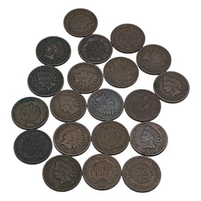 Group Of 20 Indian Head Pennies
