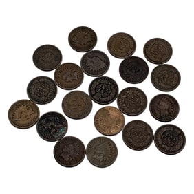 Group Of 20 Indian Head Pennies