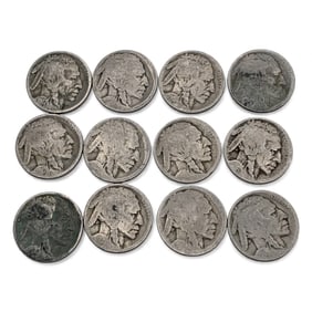 Group Of 12 Buffalo Nickels