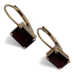 Pair Of 14k Yellow Gold & Garnet Earrings