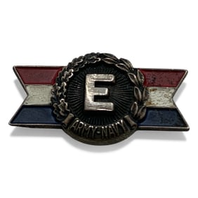 Sterling Silver Enameled Pin