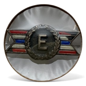 Sterling Silver Enameled Pin