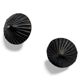 Pair Of Silver Earrings