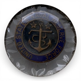 U. S. N. Reserve Force Pin