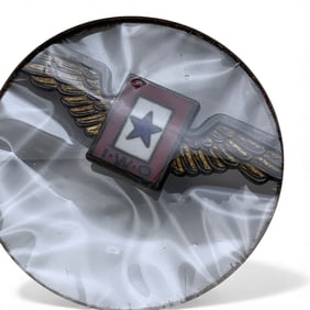 Sterling Silver Enameled Pin