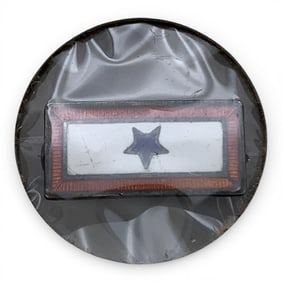 Sterling Silver Enameled Pin