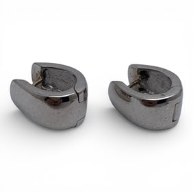 Pair Of 14k White Gold Earrings