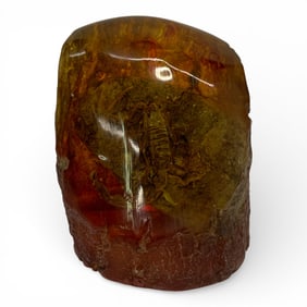 Scorpion Encased In Amber
