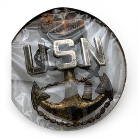 U. S. Navy Pin