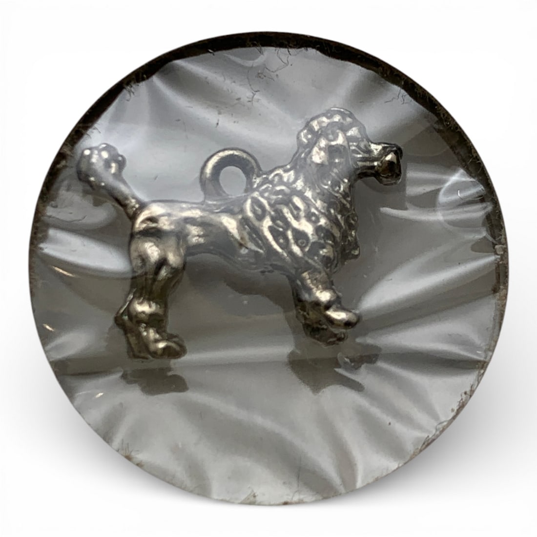 Poodle Charm: See Photos
