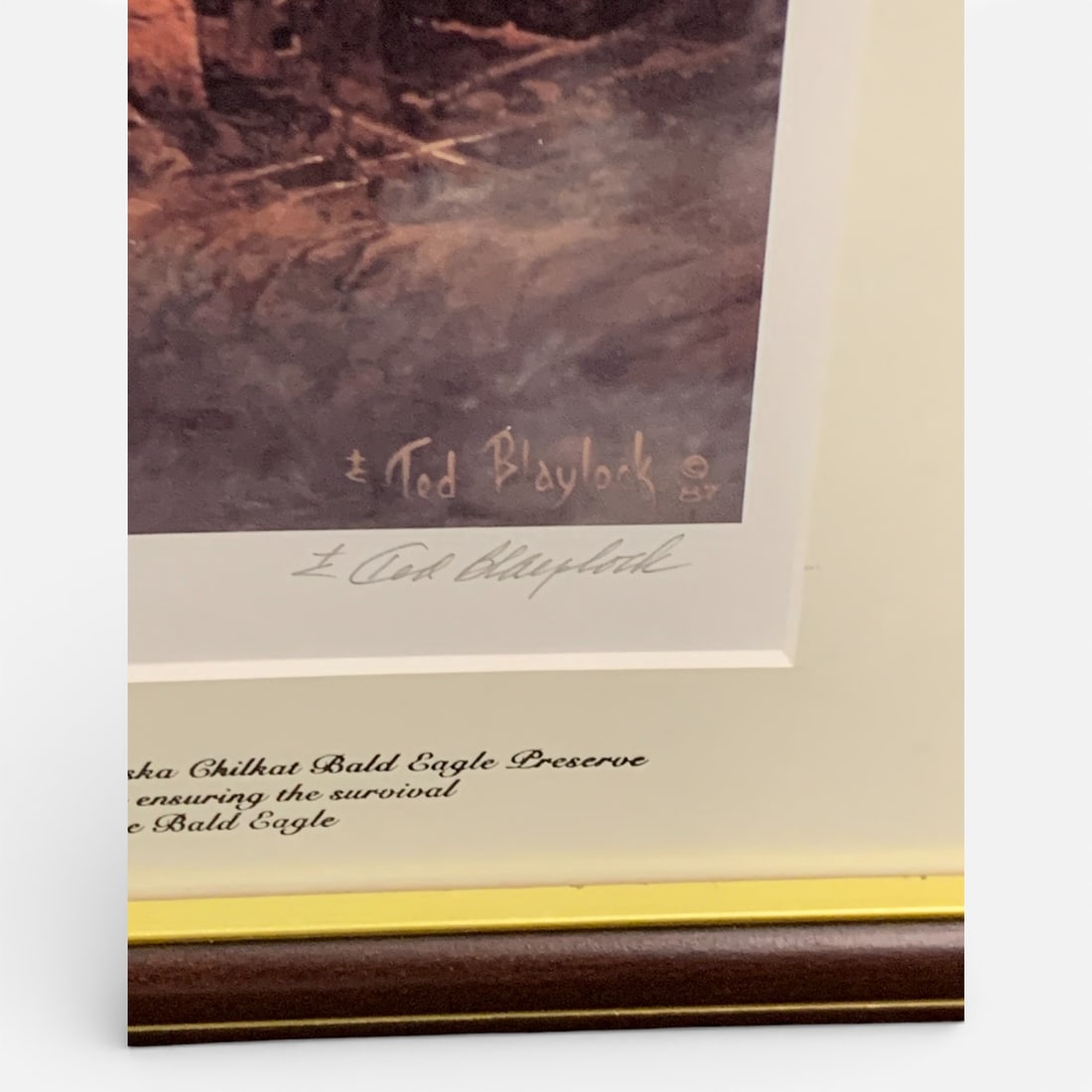 Signed Ted Blaylock Print, Save The Eagle - 2