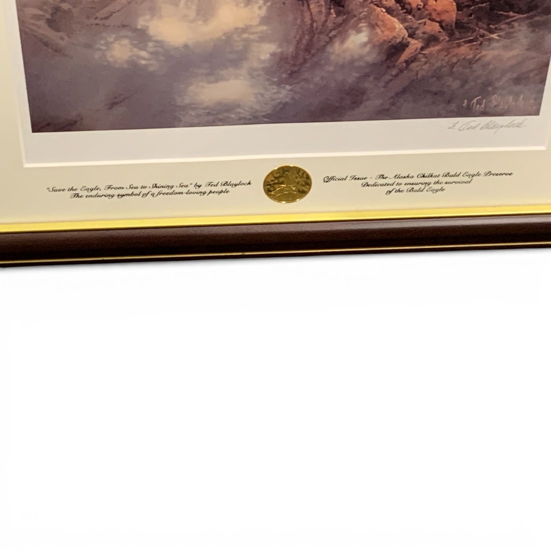 Signed Ted Blaylock Print, Save The Eagle - 3