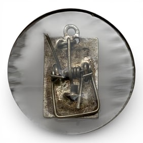 Mousetrap Charm