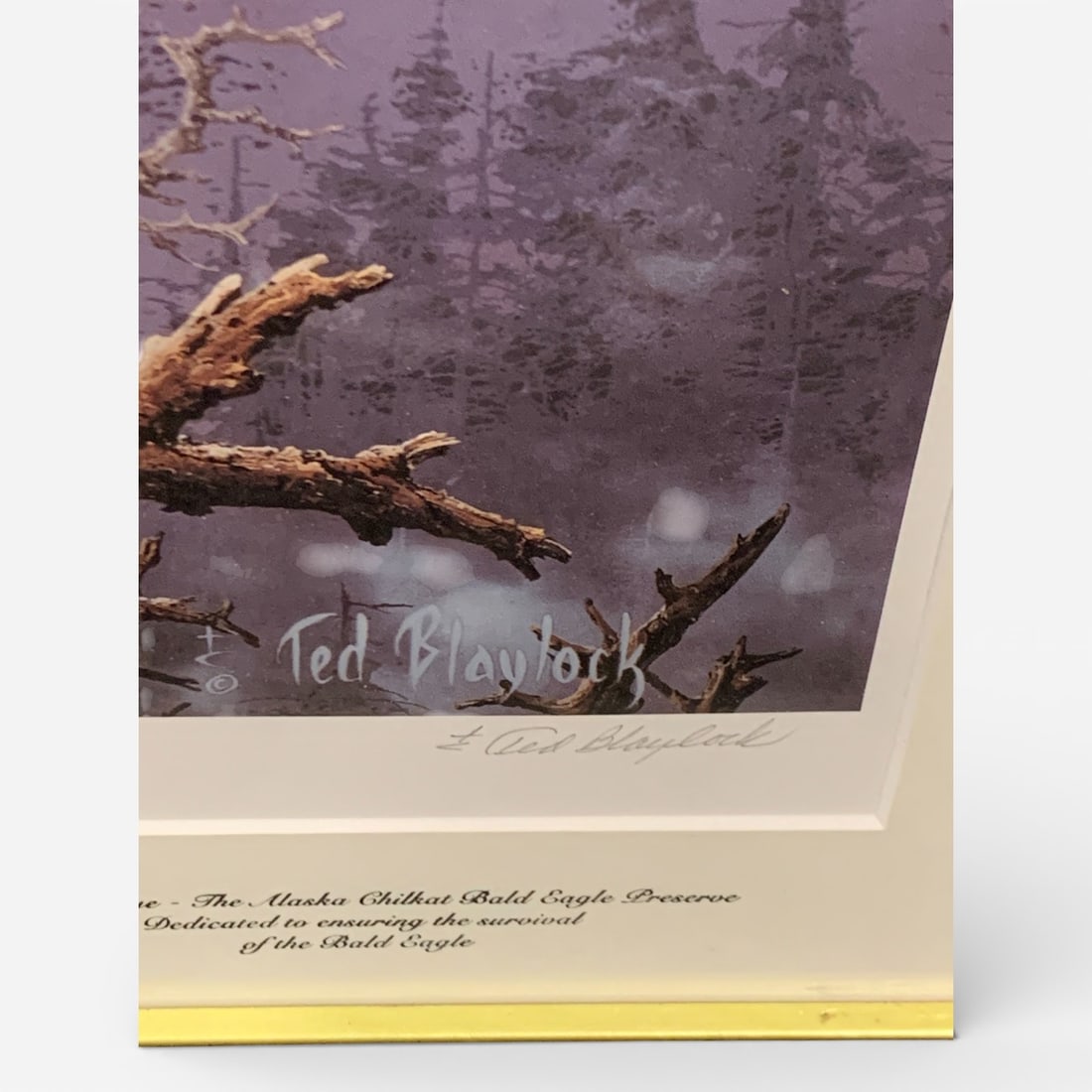 Signed Ted Blaylock Print, Save The Eagle - 2
