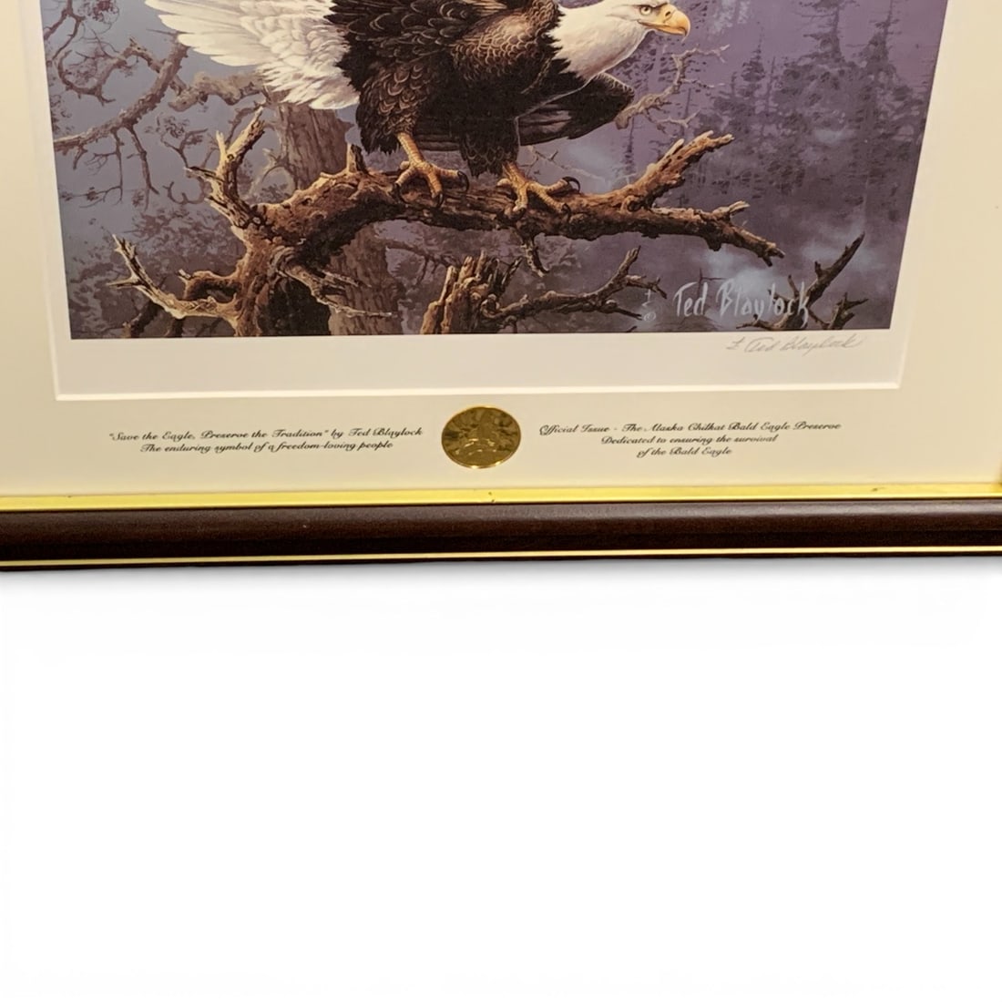 Signed Ted Blaylock Print, Save The Eagle - 3