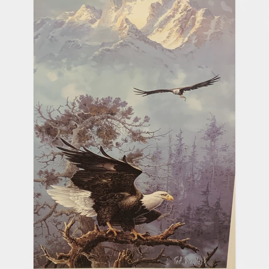 Signed Ted Blaylock Print, Save The Eagle - 4