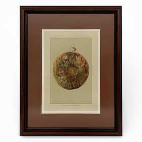Framed Print: Outside Of Set-taintes Shield