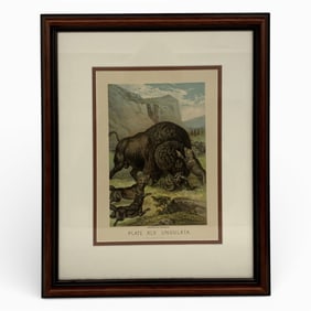 Framed American Buffalo Print, Henry J. Johnson