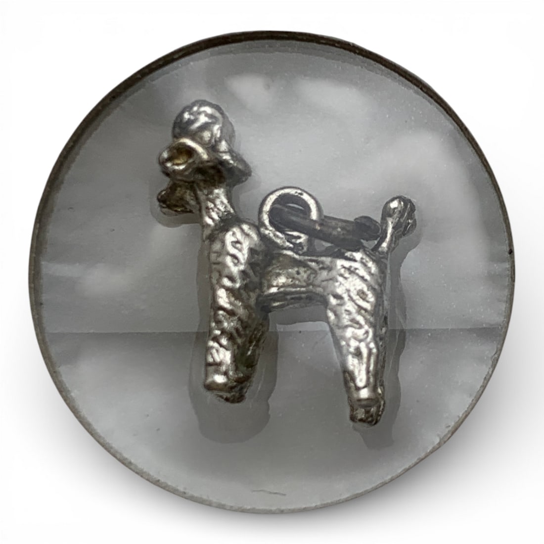 Dog Charm: See Photos