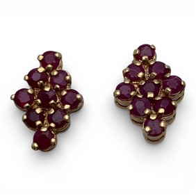 14k Yellow Gold & Ruby Earrings