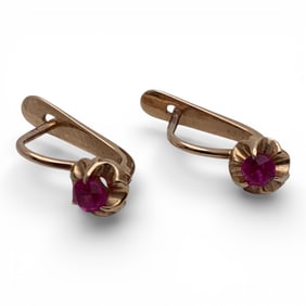 14k Yellow Gold & Ruby Earrings