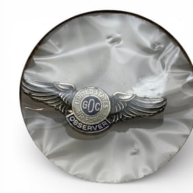 Air Force Observer Pin