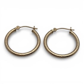 14k Yellow Gold Hoop Earrings