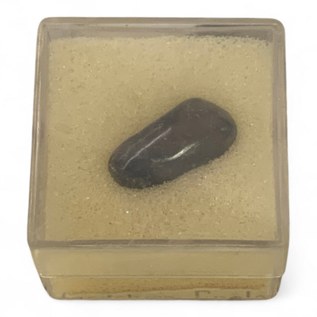 Misc. Fossils In Display Case - 3