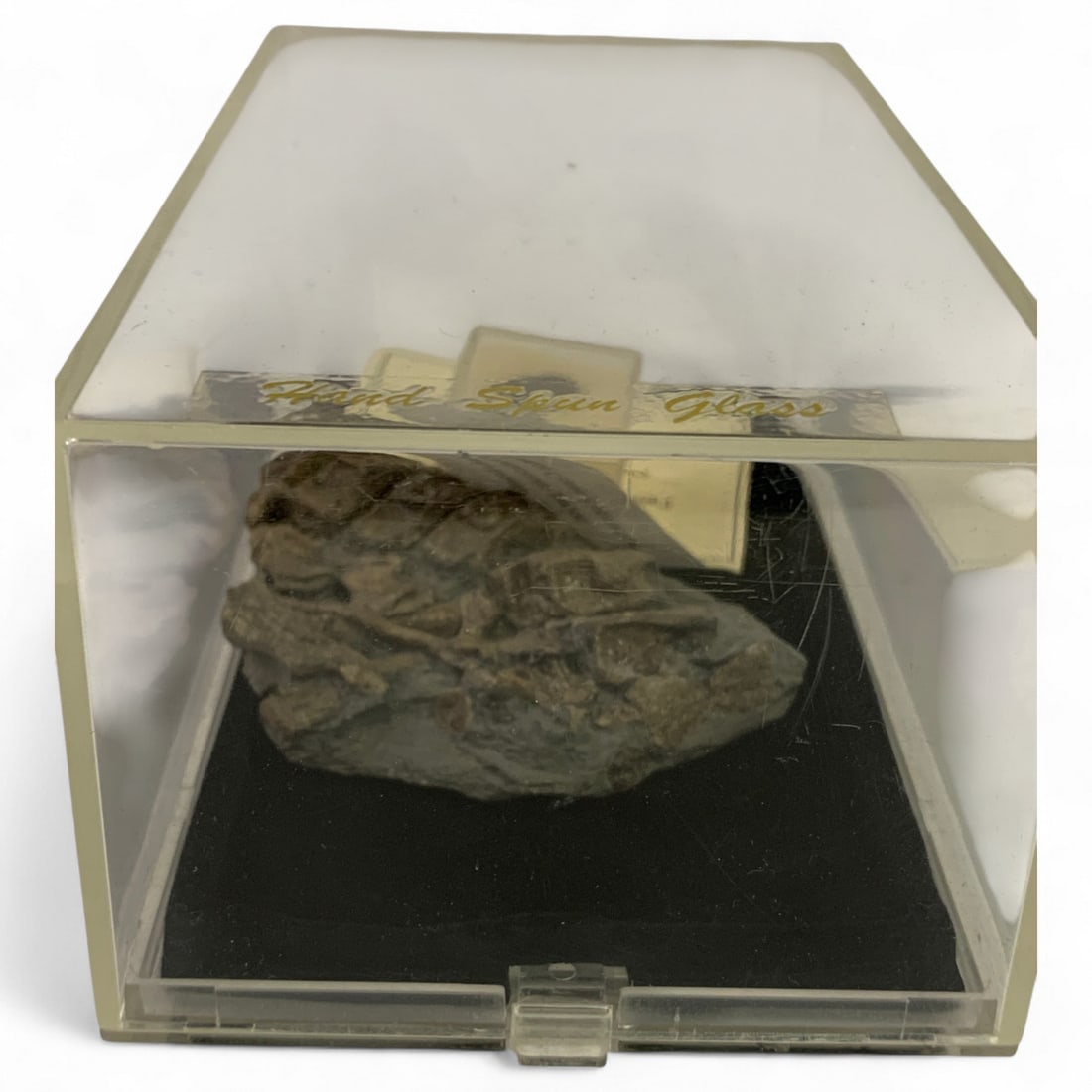 Misc. Fossils In Display Case - 6