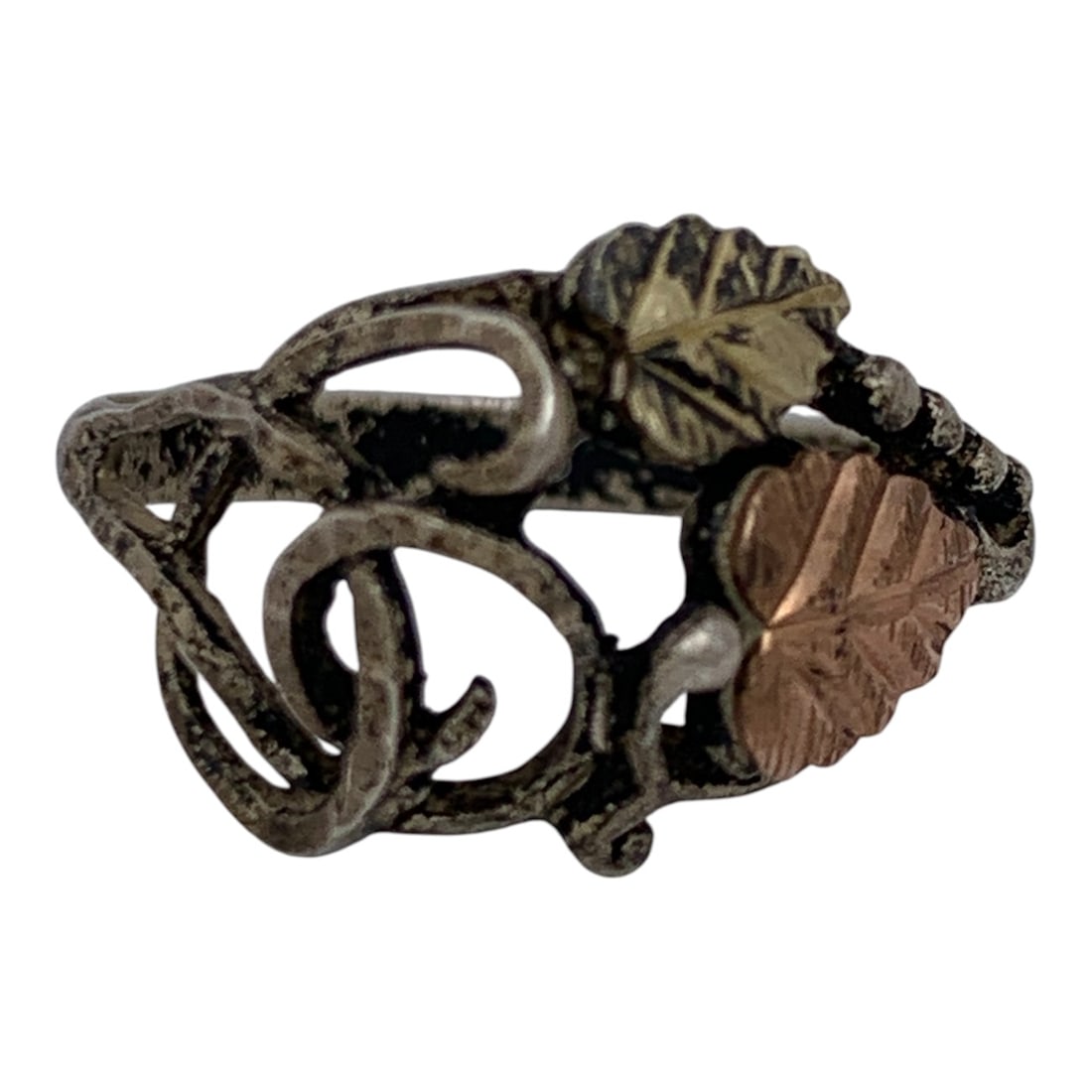 Silver Ring (1 of 5)