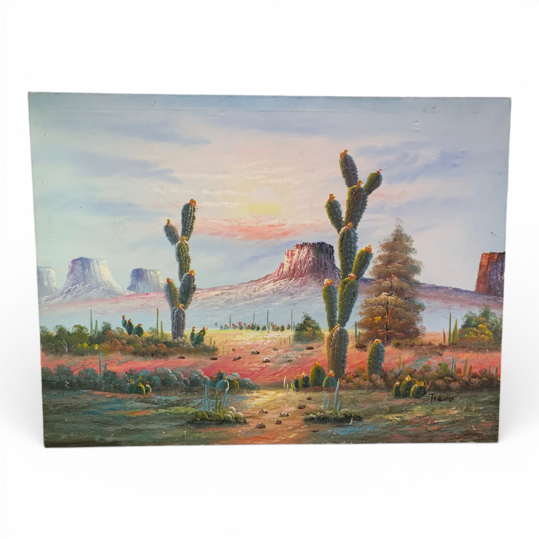 Southwest Desert Scene Oil On Canvas Signed Taylor: Signed Lower Right: Taylor. 35.75" X 38".