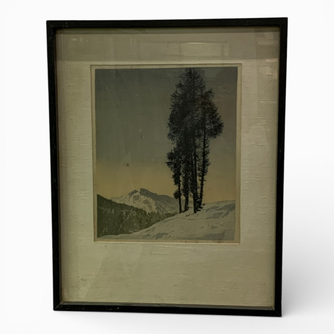 Mountain Scene Print On Fabric, Signed: Framed And Under Glass: 29" X 23".