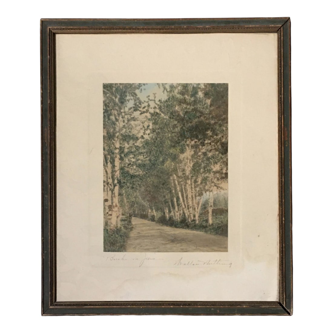 Wallace Nutting Print, Birches In June (1 of 7)