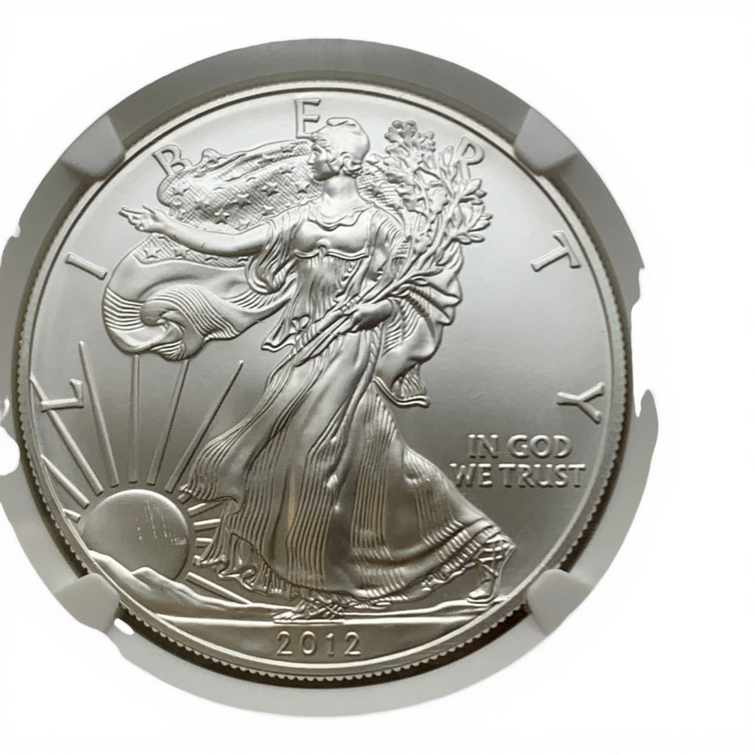 Ngc Graded 2012 S American 1oz. Silver Eagle - 2